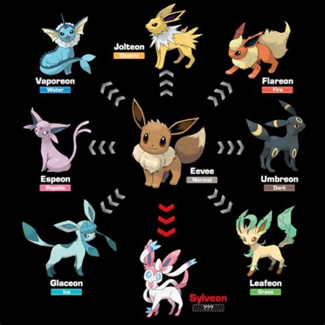 can eevee mega evolve|all eevee evolutions pokemon go.
